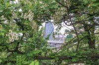 Zielone miasto - EU Green Week