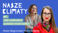 Jak uzdrowić polskie mokradła?